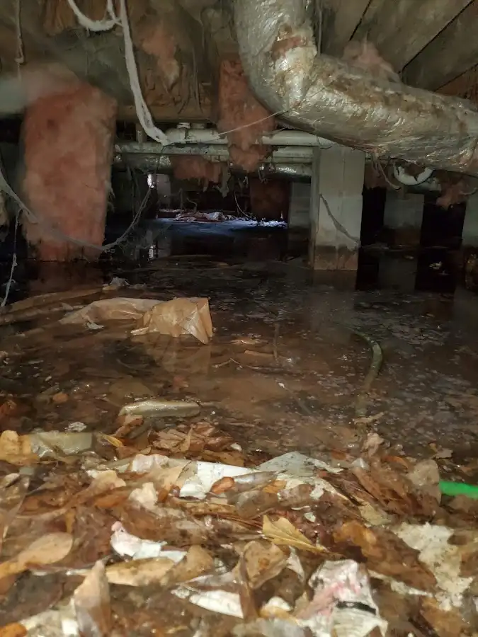 Crawl space flood assessment for Leak Detection & Repair in Duvall