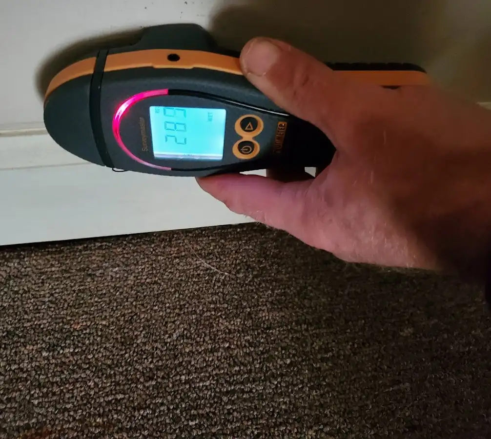 Moisture detection at baseboard during Sewage Cleanup & Sanitation in Duvall