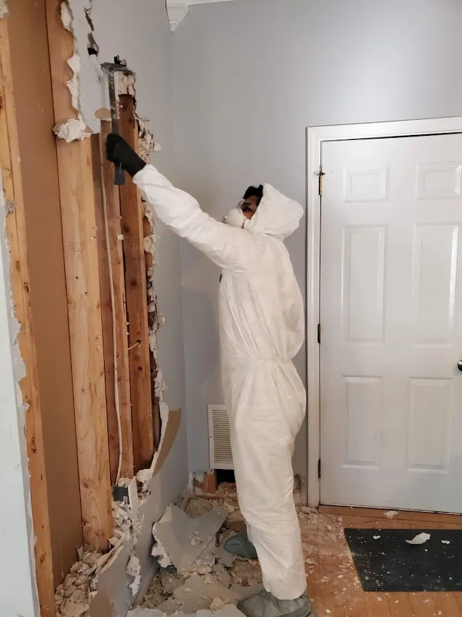 Water Damage Restoration services in Duvall, WA